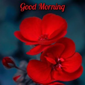 Meet your Posher, Krishan kumar